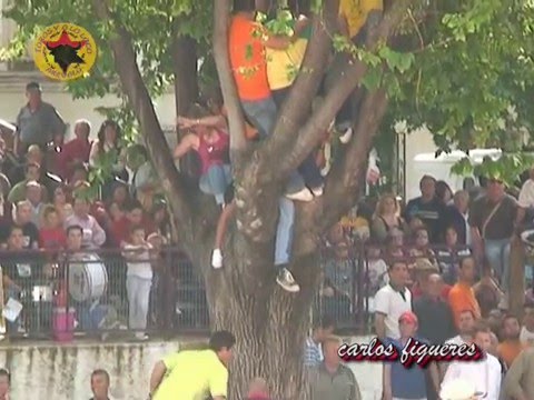 Lo mejor del año de Toros y a lo Loco (Cogidas, encierros, bous..)