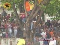 Lo mejor del año de Toros y a lo Loco (Cogidas, encierros, bous..)