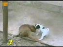To Small