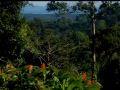 Rambala Bocas Del Toro... View Video