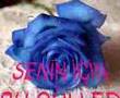 SerSeri As�k