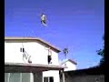 beerlympics high dive