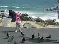 Feeding the birds (May 2006)
