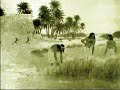 Prehistoric Art, Part Two by Victoria Taylor-Gore Prehistoric Art, Part Two by Victoria Taylor-Gore