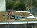 Green Roof Panel Installation