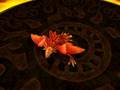 videos de Spore phoenix
