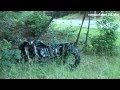 Tödlicher Motorrad-Unfall bei Gühlen-Glienicke - Ostprignitz-Ruppin