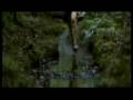 EDEN LAKE : trailer VOST