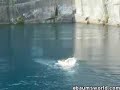 cliff-jumping-remastered.html