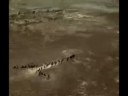 Nightwish - Planet Hell (Clip by Jakubek) Nightwish - Planet Hell (Clip by Jakubek)
