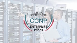 Tổng Quan Về Khóa Học CCNP Enterprise ENCOR | Thầy Lê Đức Phương CCIE RS #60977