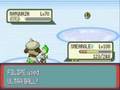 Pokemon Emerald - Capturing Rayquaza