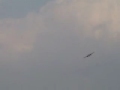Dutch Warbird & Scale Meeting 2008 part2