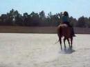 me loping my favorite horse, Heidi. i usually get to warm her up but my trainer has never had me work on bridling this particular horse up at the lope and thats what you see at the end..haha. we both get a little confused because i am not as used to her as i am to my horse. also my hat almost fell off so thats what was in my hand..haha.