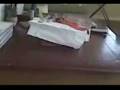 jensbag.3gp