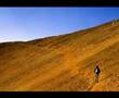 un oeil sur tamazight