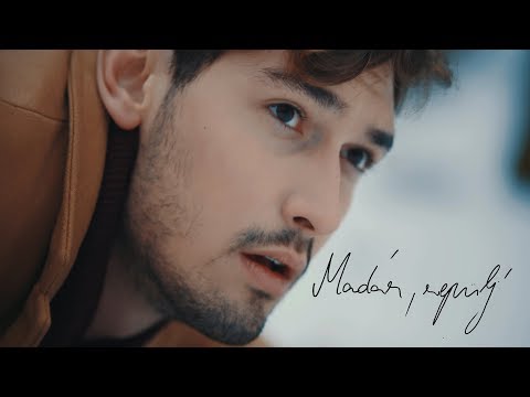 SzekÉr GergŐ MadÁr RepÜlj Official Music Video