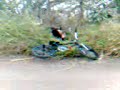 En la costanera xD (parte 2/3)