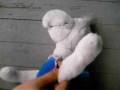 videos de Lycan And Turtle That Loves