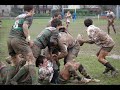 Crabos Sca - Montauban