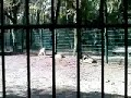 R�sselsheim... find ich sch�n (Im Ostpark)