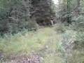 videos de Feldon 080723
