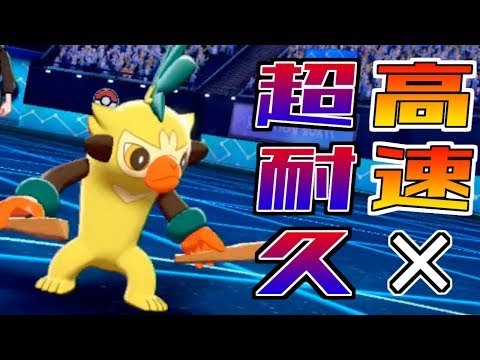 動画