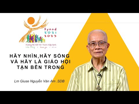 HÃY NHÌN, HÃY SỐNG VÀ HÃY LÀ GIÁO HỘI TẬN BÊN TRONG | Học hỏi về Thượng Hội Đồng Giám Mục 2023