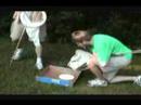 4-H Entomology sweep