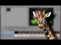 Closed Captions in Sony's Vegas Pro 10a, part 1, adding captions