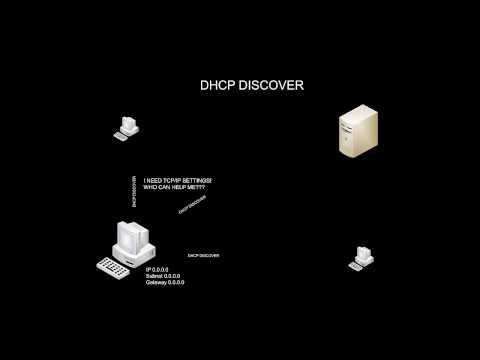 how to check dhcp discover