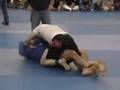 Lee Synkowski vs. Amir Sadollah