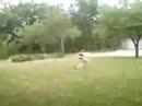Frisbee Game