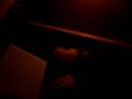 videos de lachen om menno en maxim - maxim is moe