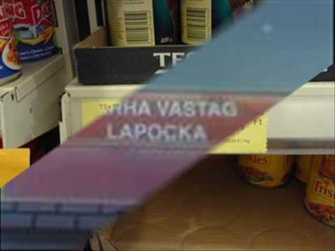 Bakik