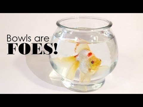 how to provide oxygen in fish bowl