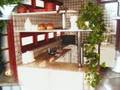 CASA À VENDA EM CONDOMÍNIO FECHADO-LOCAL NOBRE-MORUMBI-SP/SP