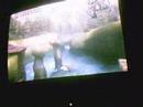 Twiligt Princess After Play. Boomerang 1st Person glitch Twiligt Princess After Play. Boomerang 1st Person glitch