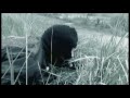 S.T.A.L.K.E.R CEKTOP:[62'18] Part three