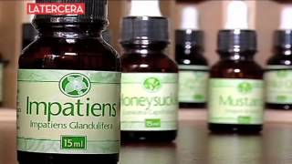 Reportaje Flores de Bach