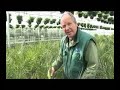 Tips en wetenswaardigheden voor uw tuin, balkon, terras en vijver. Gerard van Run, van Tuincentrum van Run uit Vught vertelt er over.De programma's zijn gemaakt in samenwerking met VTV1 en worden daar wekelijks uitgezonden.