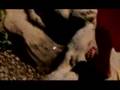 los hermanos - primeiro andar