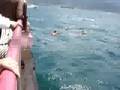 Naufrago em Ilha Bela