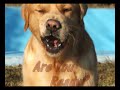 Thumbnail #1