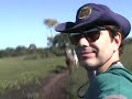Pantanal