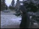 Social Studies Movie Project (very old)