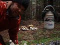 Porcini mushroom talk