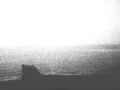 schroeder-headz / sleepin'bird