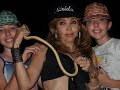 wild animals attack anaconda and pira�as