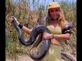 wild animals attack anaconda and pirañas
